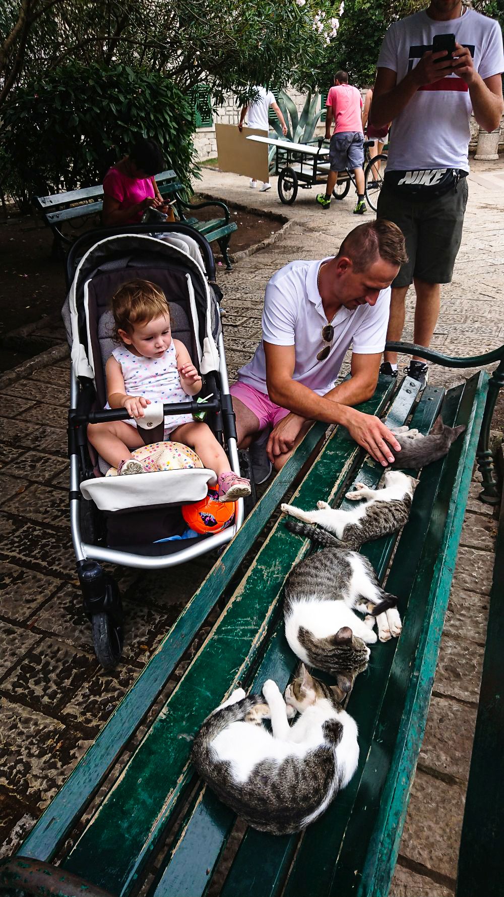 Piękna inicjatywa pomocy kotkom wyszła od turystów.