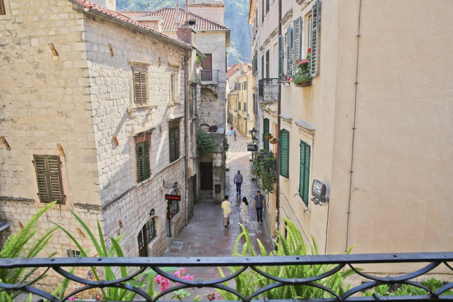 Rekomendowane hotele w Kotorze.